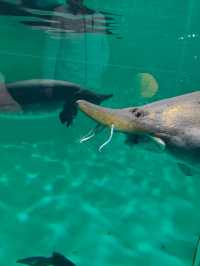 永泰歐樂堡福州版海洋王國