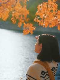 驚艷！川西小九寨松坪溝的秋色絕了一日打卡攻略