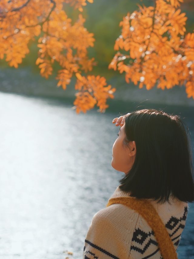 驚艷！川西小九寨松坪溝的秋色絕了一日打卡攻略