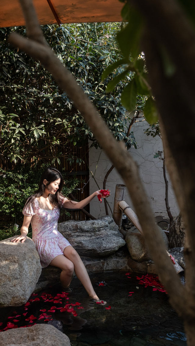 ​崂山隱居日記