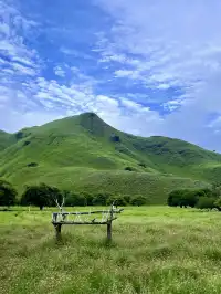 我宣佈科莫多就是人間塞爾達