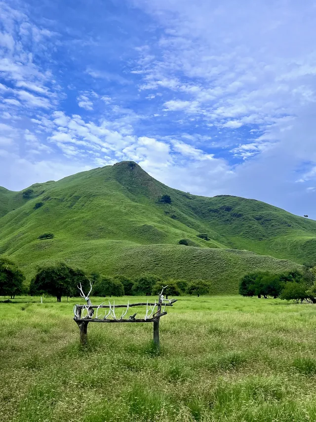 我宣佈科莫多就是人間塞爾達