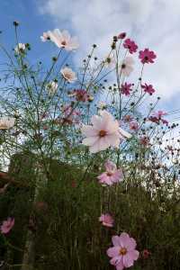離天空很近的世外桃源小村莊