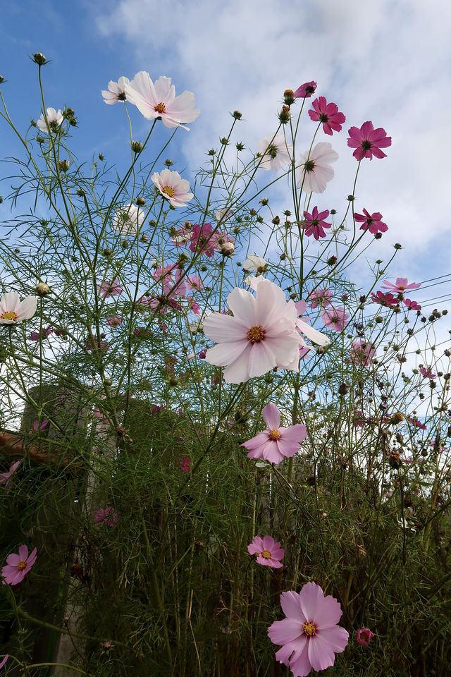 離天空很近的世外桃源小村莊