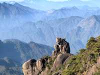 聽我的，不費腿看美景