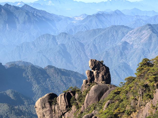 聽我的，不費腿看美景
