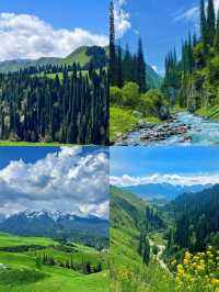 新疆恰西避坑全攻略!附3條路線+出片機位