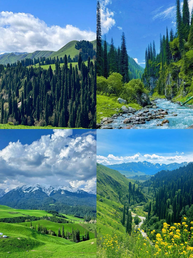 新疆恰西避坑全攻略!附3條路線+出片機位 新疆恰西避坑全攻略!附3條路線+出片機位