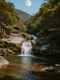 親子賞秋天花板！光霧山紅葉帶娃解鎖童話秋景