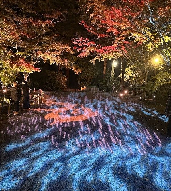 大本山室生寺紅葉燈光秀