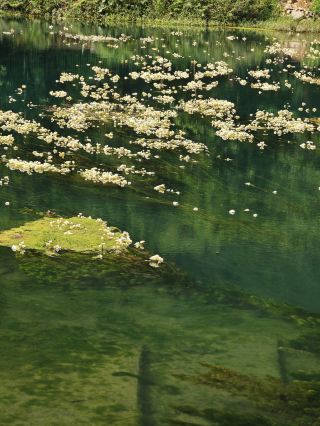 ทะเลดอกไม้ที่ Tianjiudun Skylight นั้นงดงามราวกับภาพวาดสีน้ำมัน