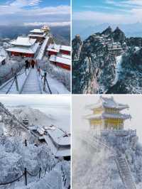 下雪後的老君山直接美成雲頂仙宮！！