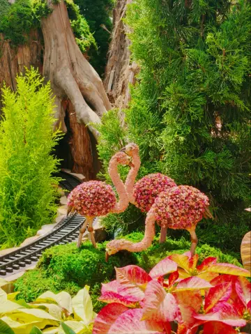 新加坡必打卡仙境花園一日遊攻略來啦