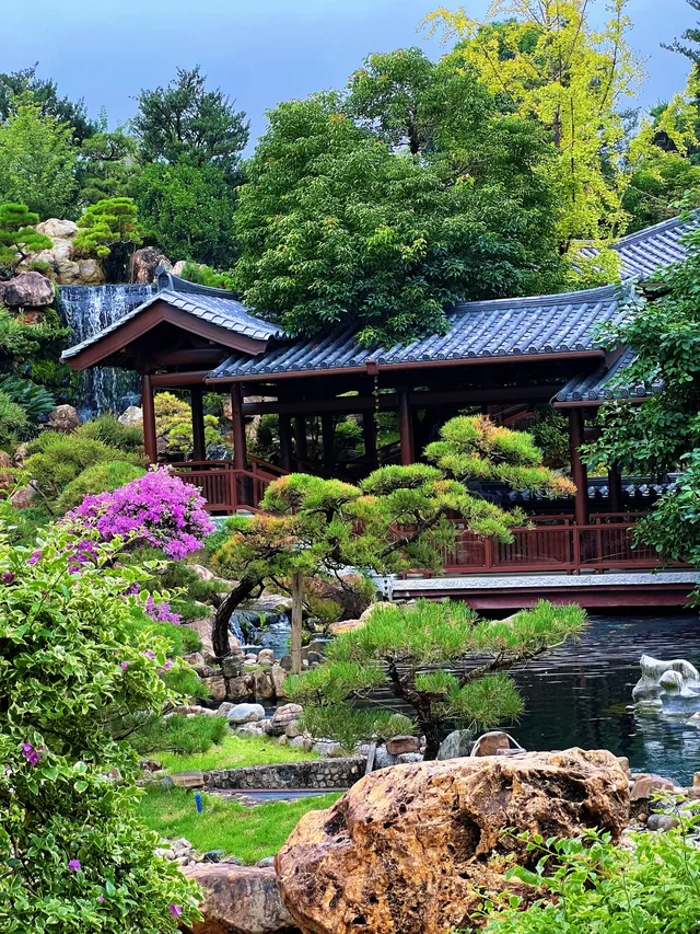 這是我花5蚊雞就能看到的景色？！？！