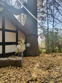 都江堰靈巖寺最容易領的獎牌