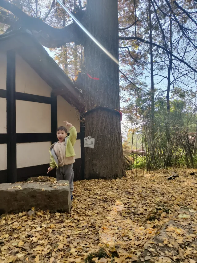 都江堰靈巖寺最容易領的獎牌