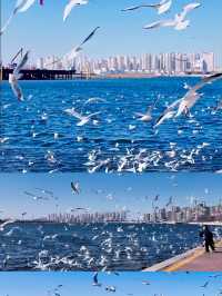 冬天一定要帶喜歡的人去一趟天津