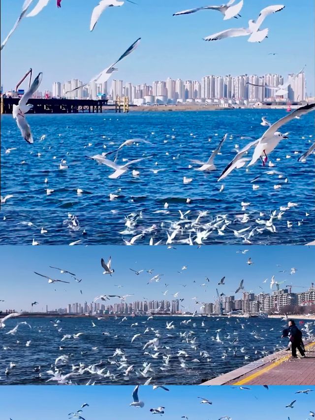 冬天一定要帶喜歡的人去一趟天津 冬天一定要帶喜歡的人去一趟天津