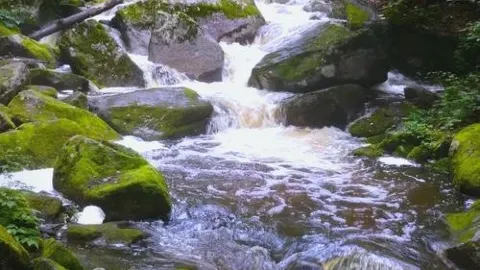 반짝이는 진주—왕칭 여행 가이드 — traveler post in 왕칭