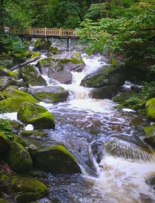 ไข่มุกสว่างไสวแห่งหนึ่ง — คู่มือท่องเที่ยวหวังชิง