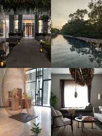 暹粒|林木線城市度假村的高級舒適感受   酒店：Treeline Urban Resort   