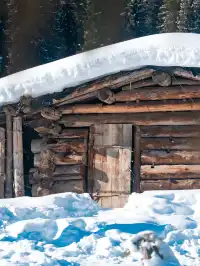 新疆伊犁的冬天,從瓊庫什台到庫爾德寧