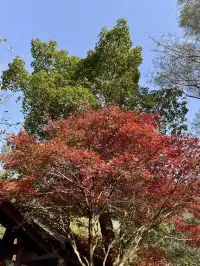 明月山+羊獅慕一日遊時間線