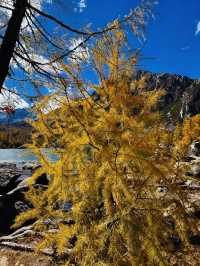 四川黨嶺徒步7日全記錄，秘境穿越指南