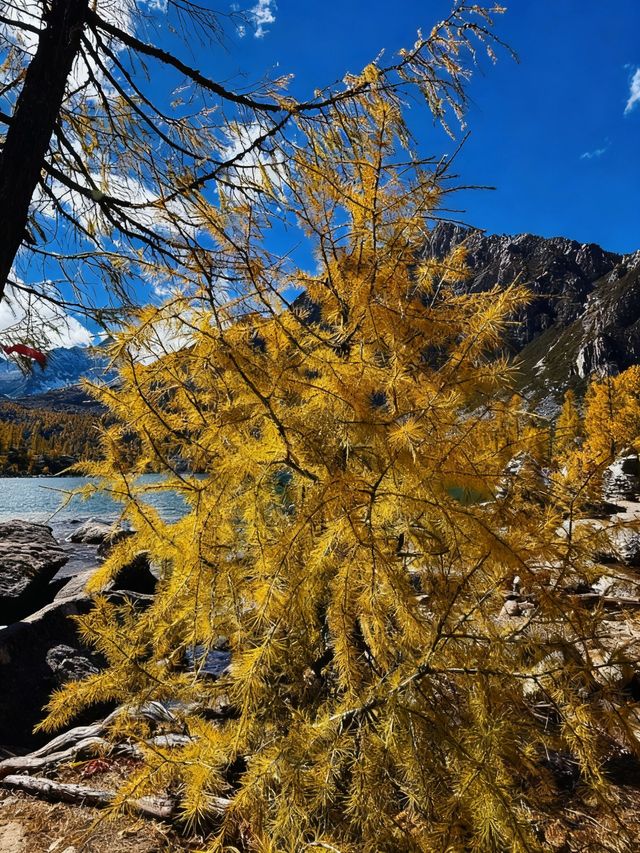 四川黨嶺徒步7日全記錄，秘境穿越指南