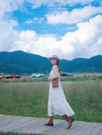 賽里木湖藍眼淚