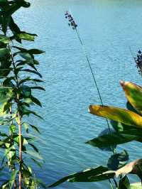 先喊一句:揭陽西湖你還有多少驚喜是我們不知道的!