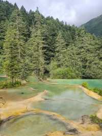 本地人總結德陽等地4日遊保姆級攻略速抄