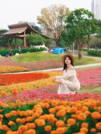 深圳地鐵直達的彩虹花海!這個公園太寶藏