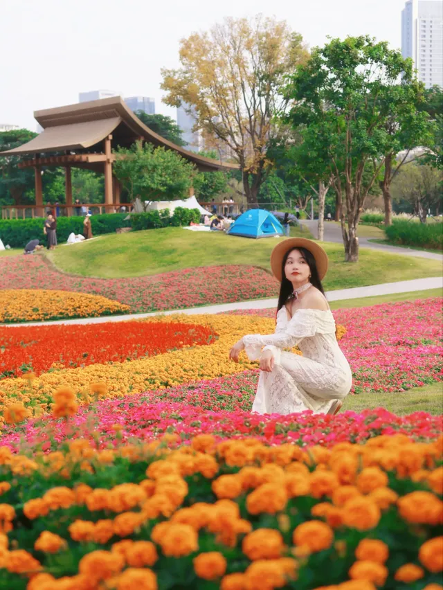 深圳地鐵直達的彩虹花海!這個公園太寶藏 深圳地鐵直達的彩虹花海!這個公園太寶藏