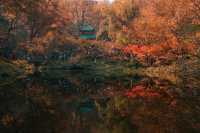 長沙迎來封神的秋天，這些地方真的超美！