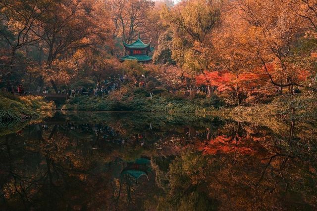 長沙迎來封神的秋天，這些地方真的超美！