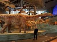 Самый красивый Шанхайский музей природы 🦖🇨🇳