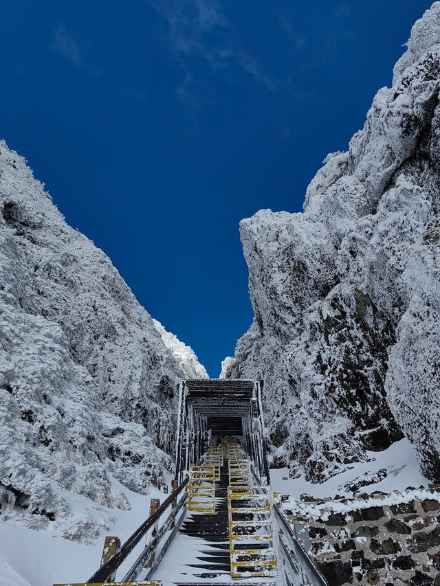 冬日昆明必打卡 冬日昆明必打卡
