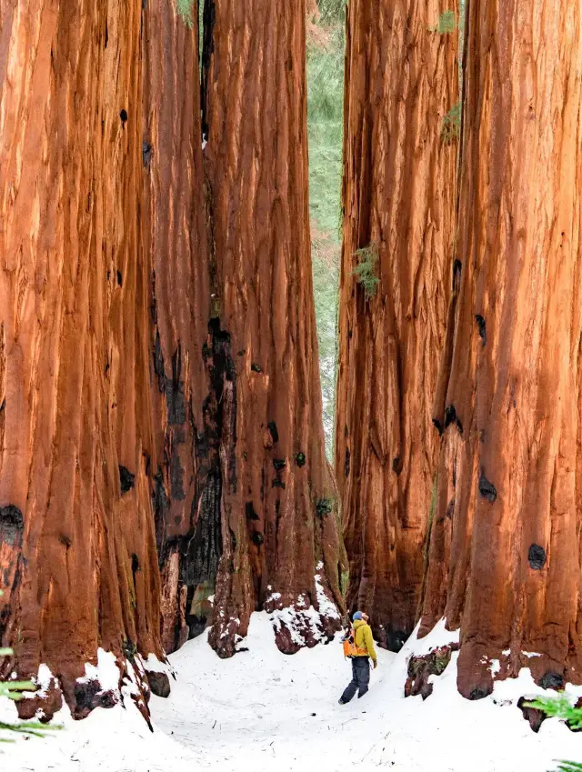 25 Autumn and Winter Yosemite Travel Guide - Save it for your trip