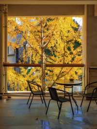 魔都銀杏季必打卡局門路露台機位全攻略|附路線圖