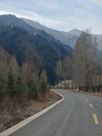 甘肅武威|被遺忘的涼州,藏著草原、雪山與沙漠的相遇