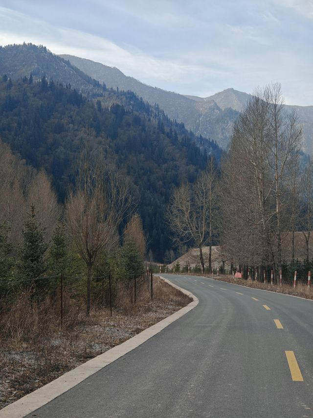 甘肅武威|被遺忘的涼州,藏著草原、雪山與沙漠的相遇 甘肅武威|被遺忘的涼州,藏著草原、雪山與沙漠的相遇