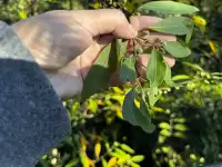 神仙谷隱藏玩法大公開！極限蹦極+深山尋寶