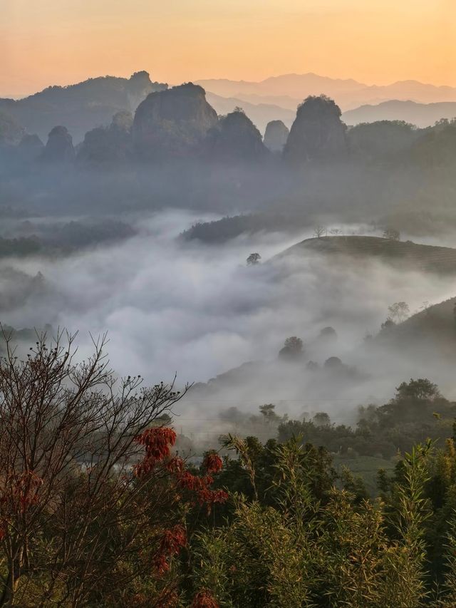 秋冬武夷!人少景美還暖胃 秋冬武夷!人少景美還暖胃