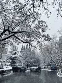 大連12月旅遊全攻略|雪裡裹浪的冬日童話