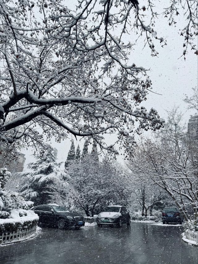 大連12月旅遊全攻略|雪裡裹浪的冬日童話 大連12月旅遊全攻略|雪裡裹浪的冬日童話