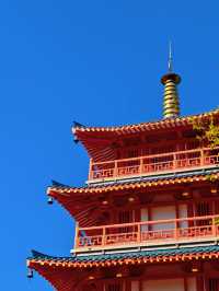 秋天的虞山公園真的太美了！