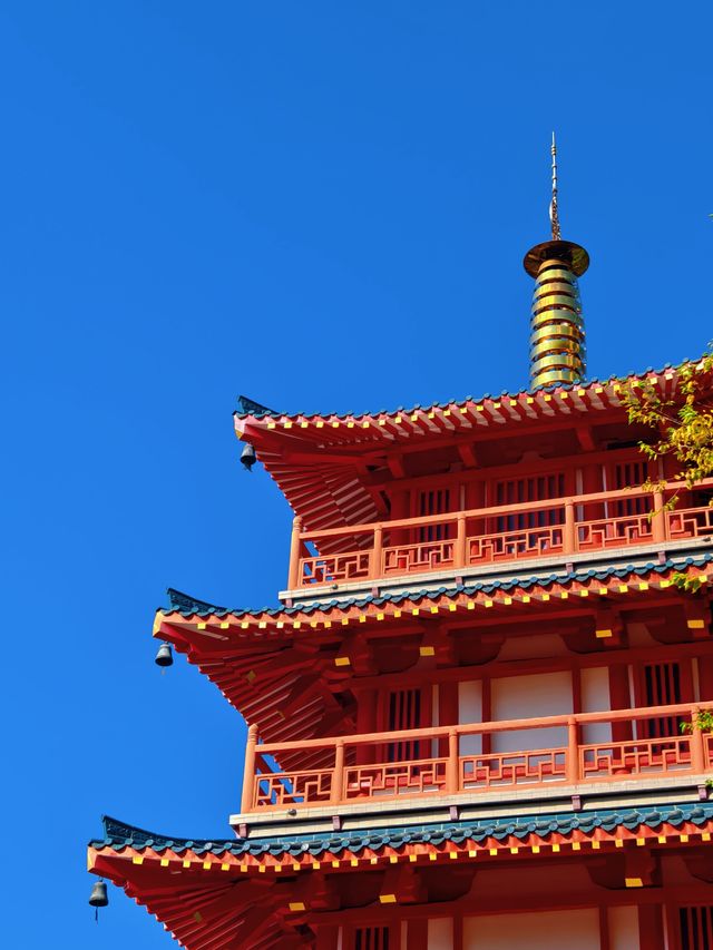 秋天的虞山公園真的太美了！