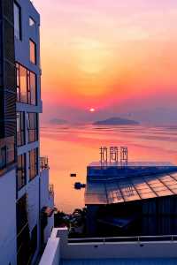 人回來了，心還在霞浦