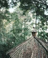 不擺架子只擺熱茶鴻達酒店